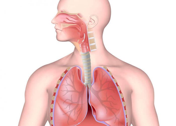 Инфекции верхних дыхательных путей