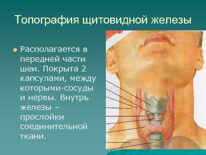 Опухоли щитовидной железы