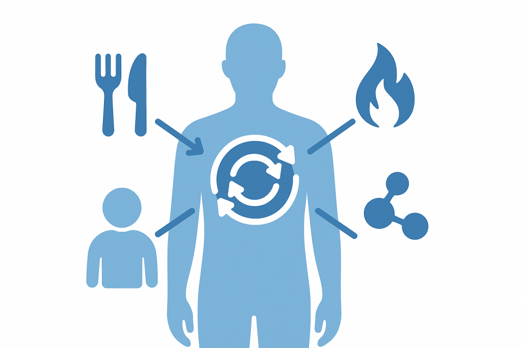 обмен веществ обмен веществ