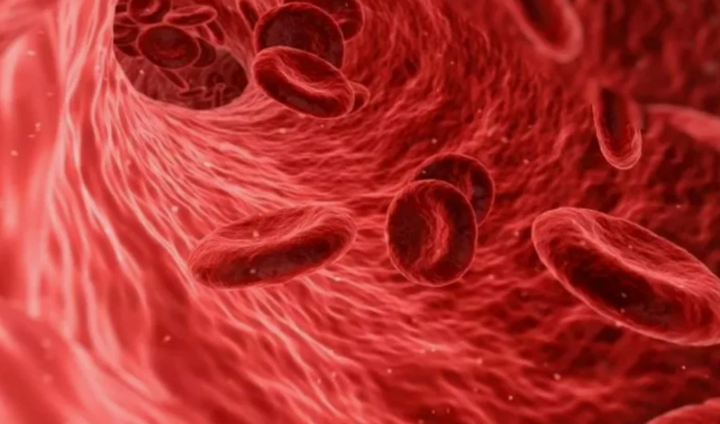 Screenshot_1.jpg