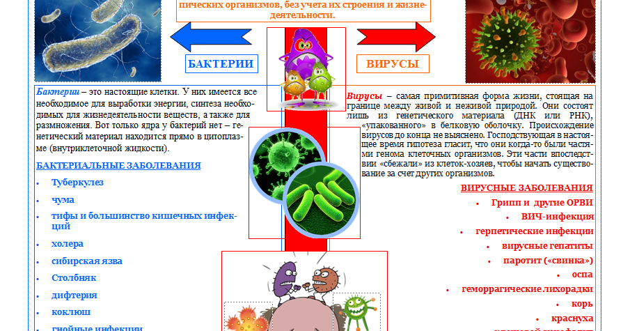 Как отличить вирусные инфекции от бактериальных