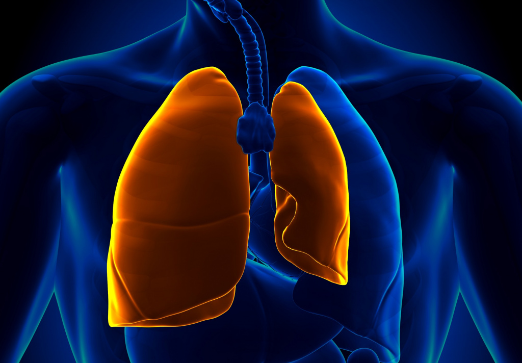 Pneumothorax.Illustration.lungs_G_498526173.jpg
